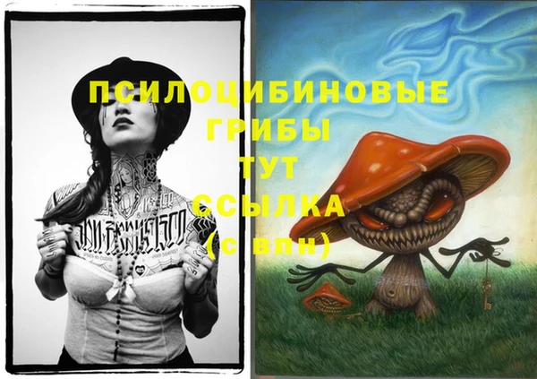 прущие крисы Алексин