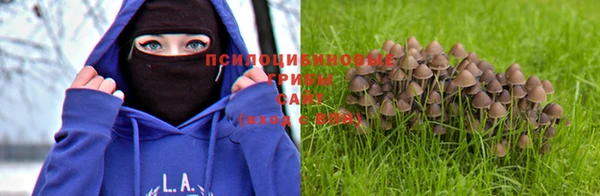 мет Алзамай
